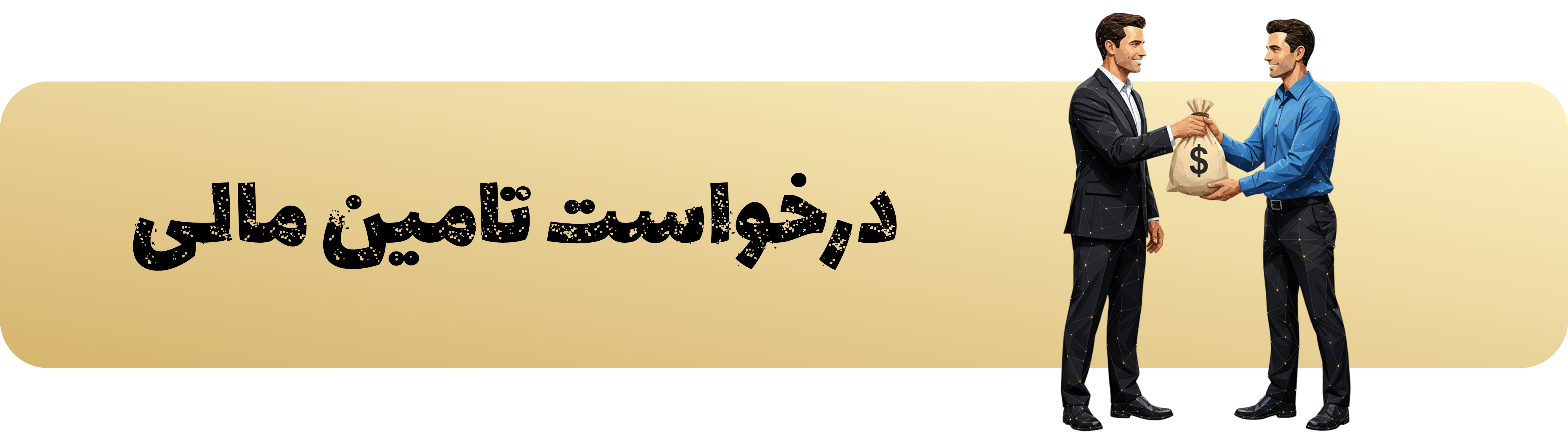 درخواست تامین مالی